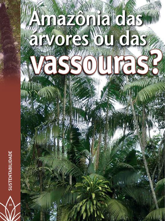 Primeira página da reportagem Amazônia das árvores ou das vassouras?